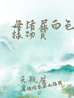 母猪尿白色石灰样物质