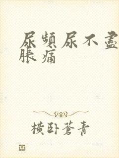 尿频尿不尽小腹胀痛