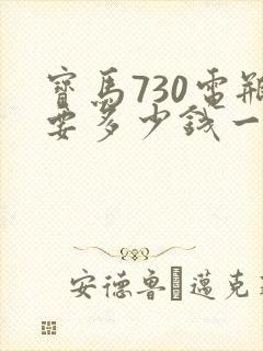 宝马730电瓶要多少钱一个