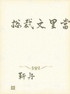 总裁文里当秘书