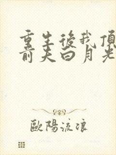 重生后我顶替了前夫白月光有声