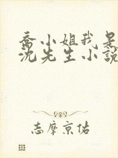 乔小姐我是你的沈先生小说免费阅读