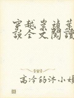 穿越崇祯叶轩小说全文阅读