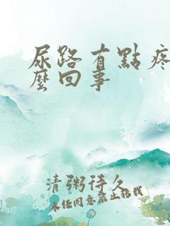 尿路有点疼是怎么回事