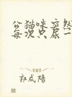 公猫咪突然尿频每次只尿一点