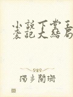 小说下堂王妃逆袭记大结局