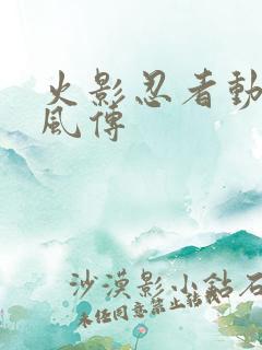 火影忍者动画疾风传