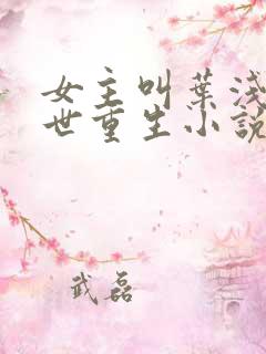 女主叫叶浅的末世重生小说