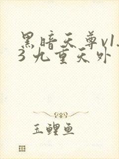 黑暗天尊v1.3 九重天外