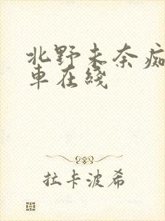 北野未奈痴汉电车在线