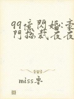 99亿闪婚:豪门总裁夜夜忙