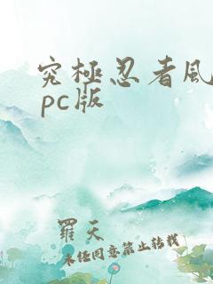 究极忍者风暴4 pc版