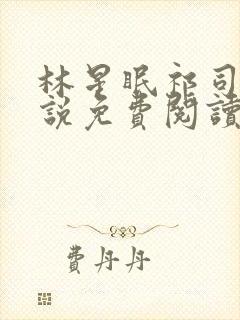 林星眠祁司年小说免费阅读最新章节