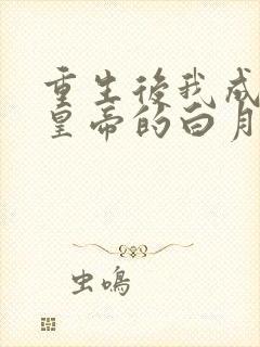 重生后我成为了皇帝的白月光