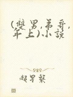 (双男,弟哥,年上)小说