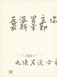 反派男主你好坏最新章节