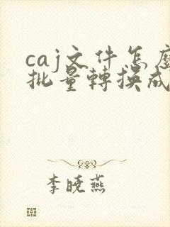 caj文件怎么批量转换成pdf