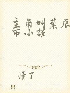 主角叫叶辰的都市小说