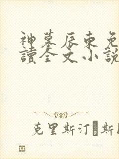 神墓辰东免费阅读全文小说