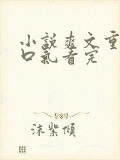 小说爽文重生一口气看完