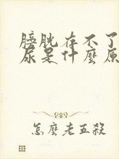 膀胱存不了太多尿是什么原因