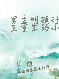 男主叫顾行渊女主重生的小说