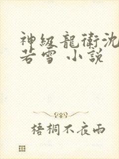 神级龙卫沈浪苏若雪 小说