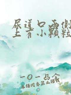 尿道口两侧阴道上有小颗粒