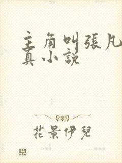 主角叫张凡的修真小说