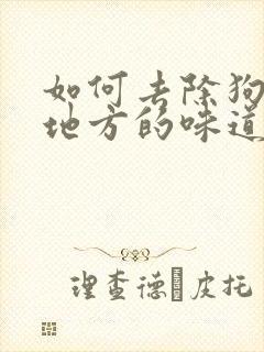 如何去除狗尿过地方的味道