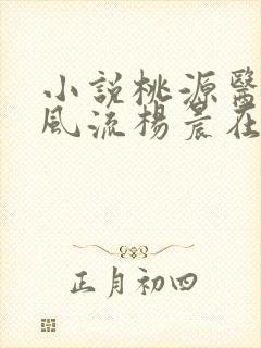 小说桃源医仙不风流杨晨在线阅读