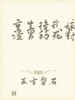 重生后我嫁给了渣男的死对头电子书