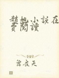 赵旭小说在线免费阅读