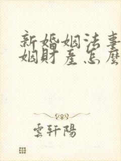 新婚姻法事实婚姻财产怎么分