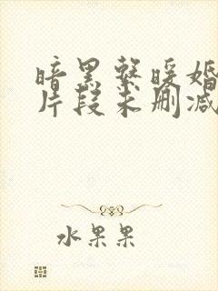 暗黑系暖婚开车片段未删减版