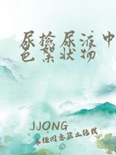 尿检尿液中有白色絮状物