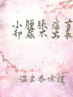 小腹胀痛有尿意却尿不出来