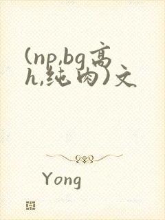 (np,bg高h,纯肉)文