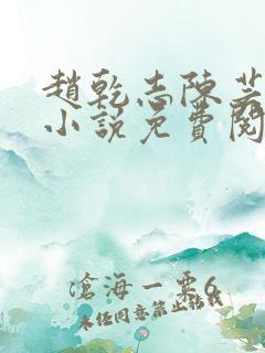 赵乾志陈芸穿越小说免费阅读下载