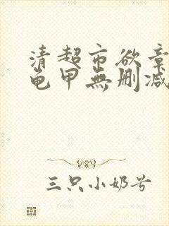 清超市欲章目录龟甲无删减