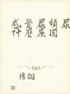 感觉尿频尿少是什么原因