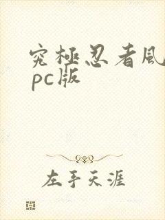 究极忍者风暴4 pc版