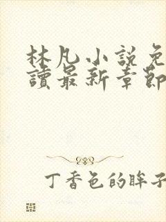 林凡小说免费阅读最新章节