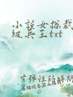 小说女总裁的超级兵王txt