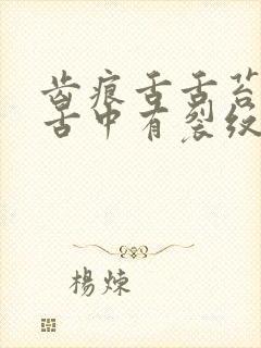 齿痕舌舌苔白腻舌中有裂纹