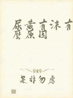 尿黄有沫有味什么原因