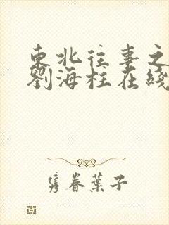 东北往事之我叫刘海柱在线观看