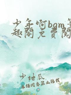 少年啊bgm笔趣阁免费阅读全文