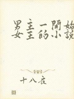 男主一开始讨厌女主的小说