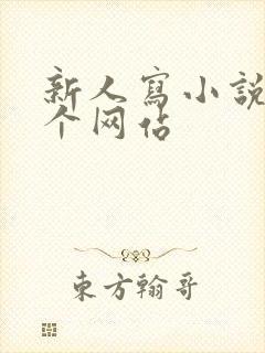 新人写小说去哪个网站